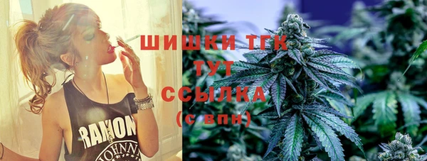 соль ск Заводоуковск