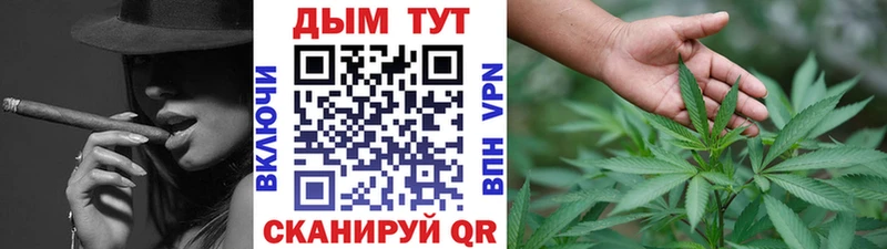 Купить где  Юрюзань  МАРИХУАНА сатива 